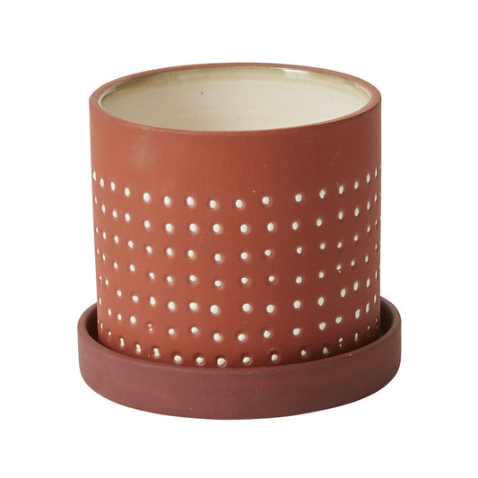 5" salimonica planter