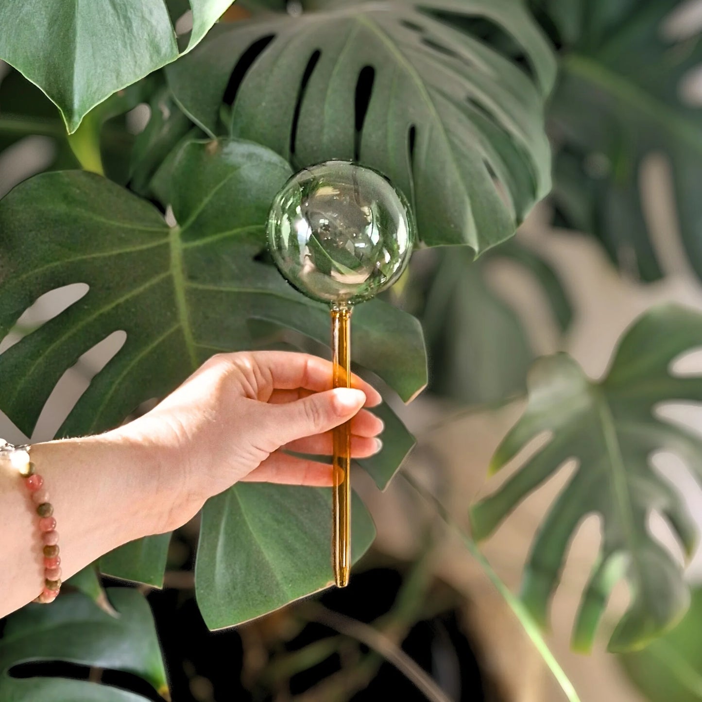 self watering plant globes