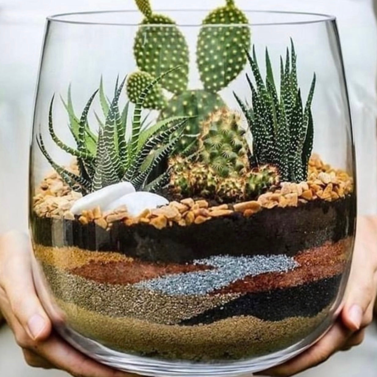 cacti garden workshop 11:00am on 1/17/26