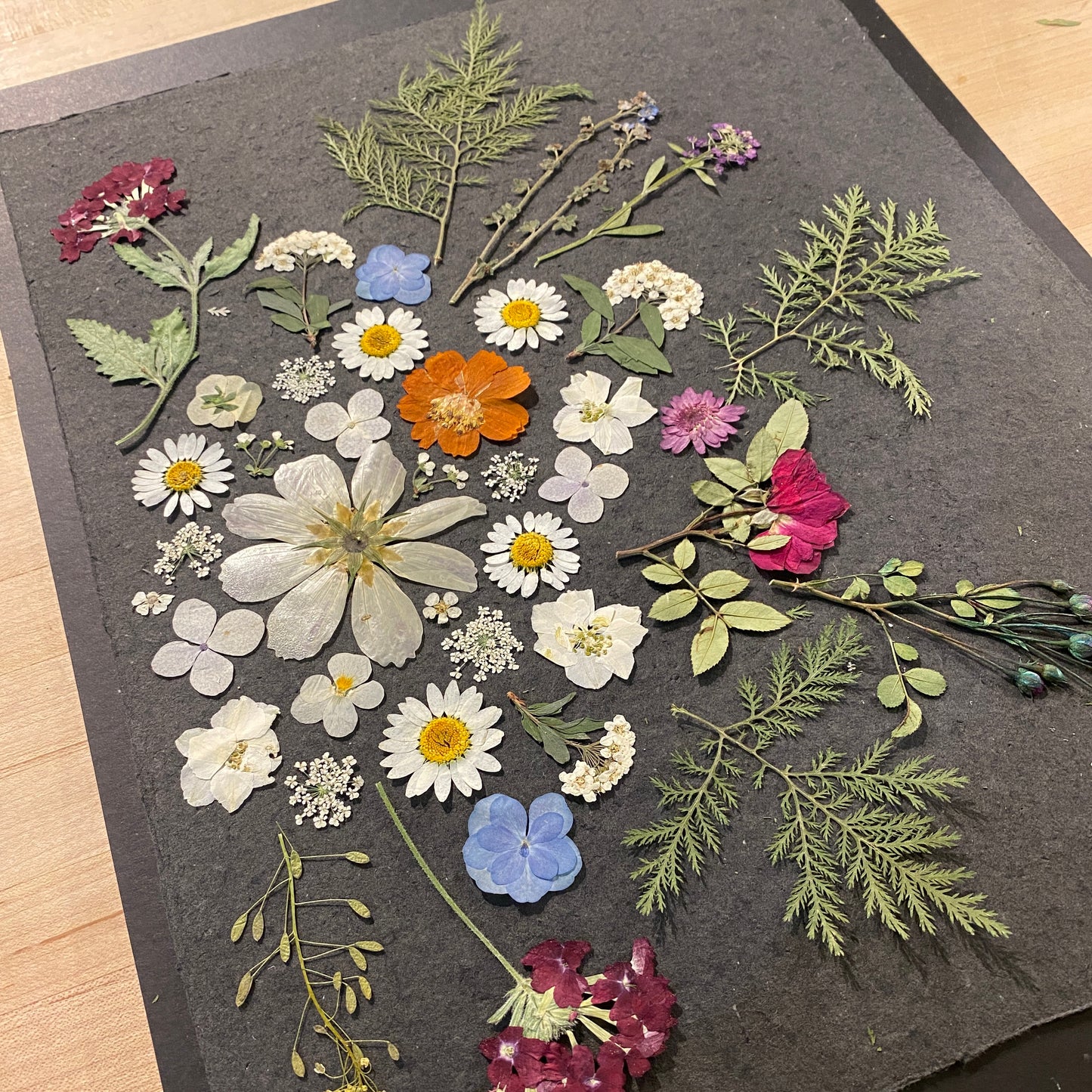 pressed floral art workshop 2:00pm on 1/17/26