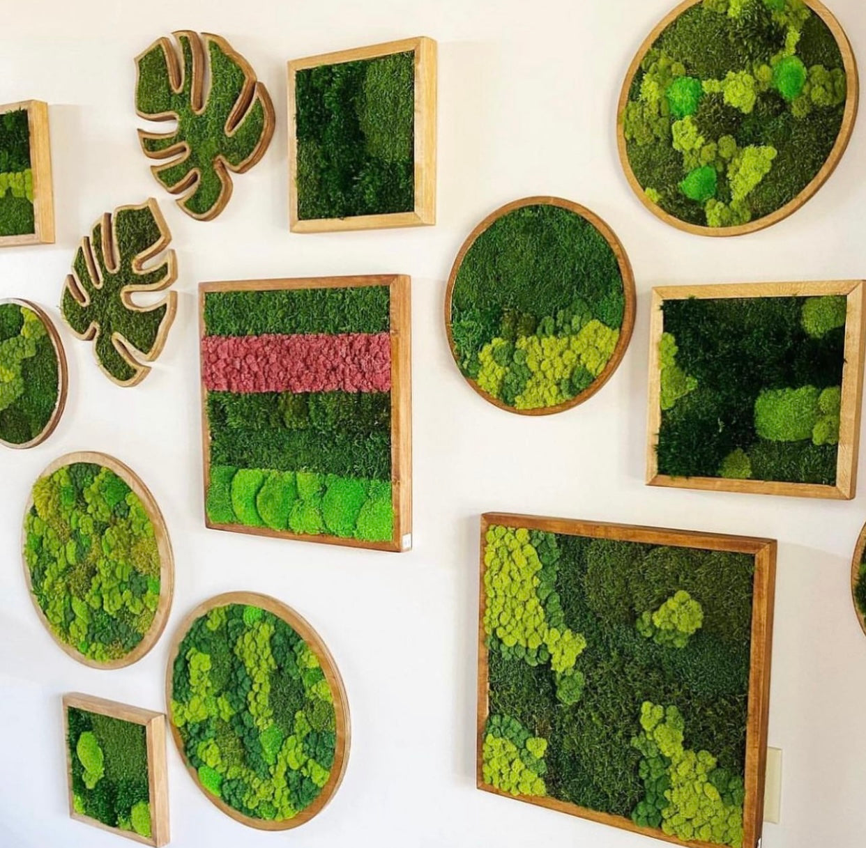 moss art workshop 12:30pm on 1/17/26