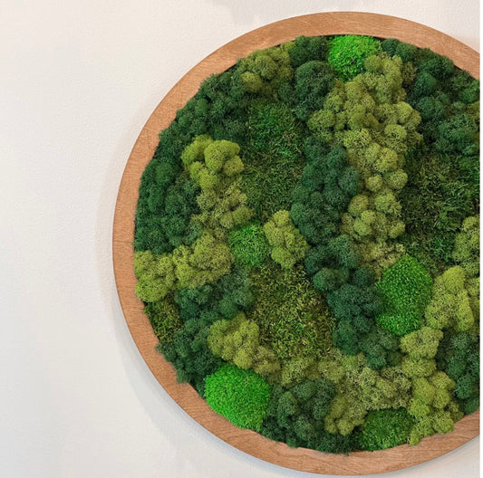 moss art workshop 12:30pm on 1/17/26