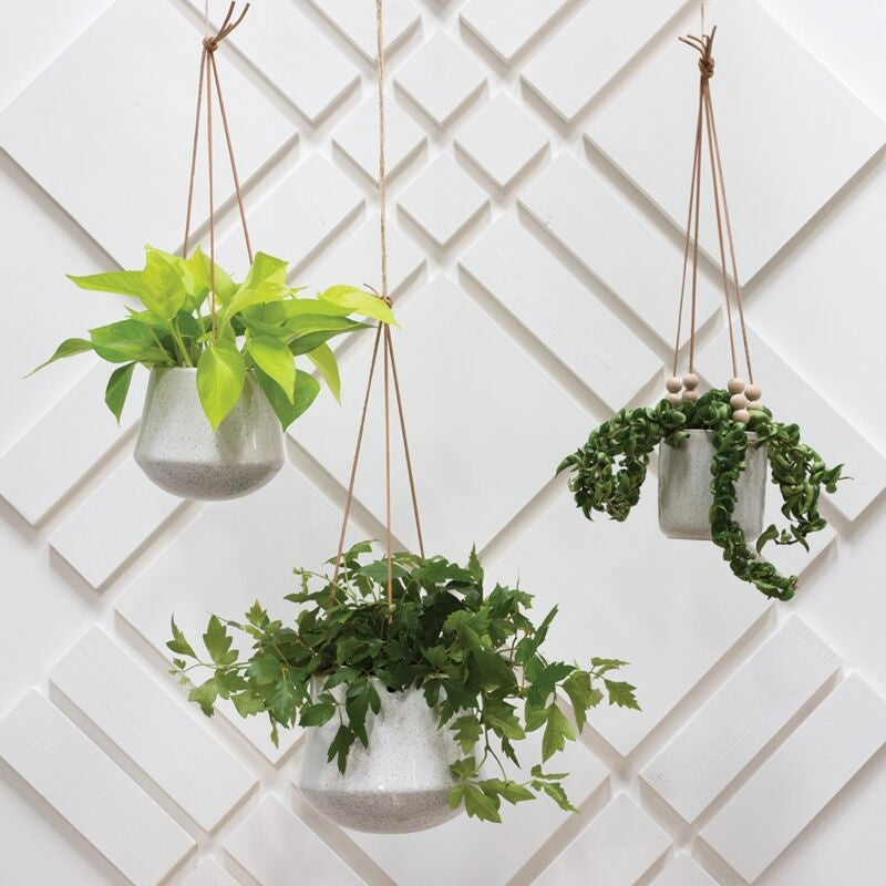 hanging planters