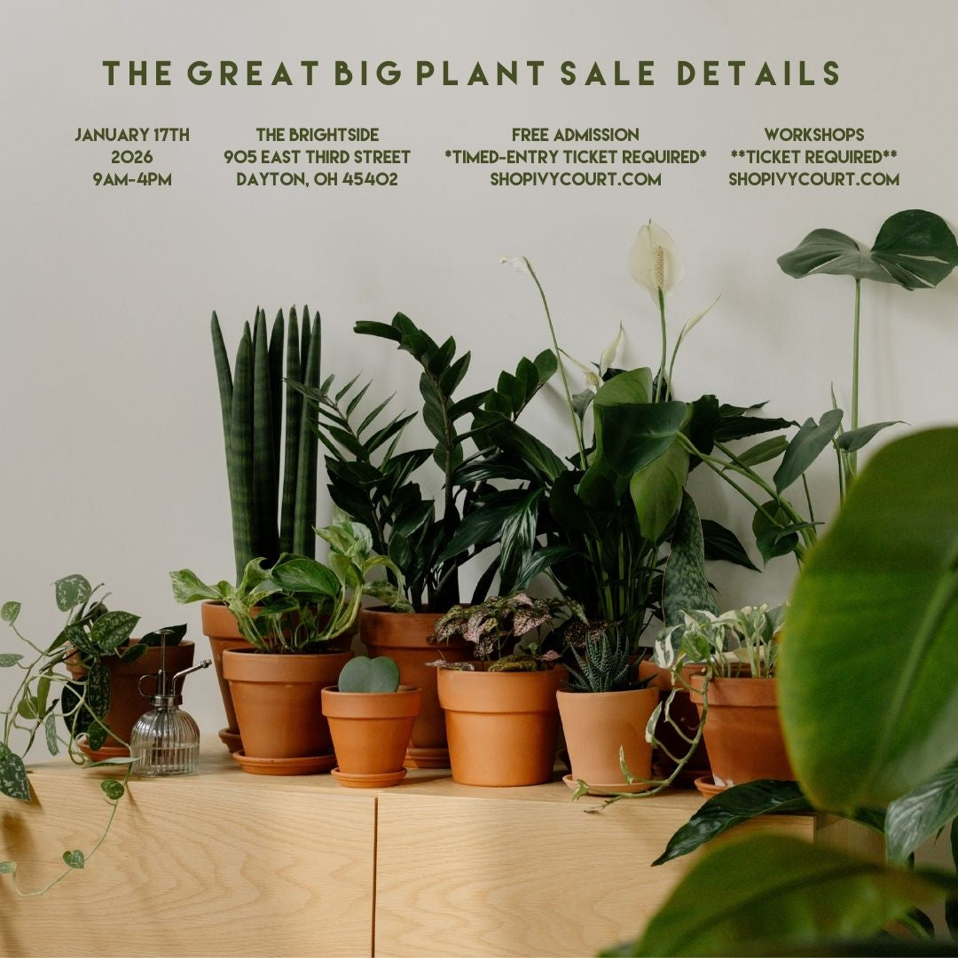 12pm plant sale ticket