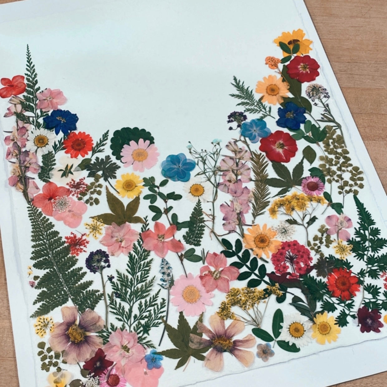 pressed floral art workshop 9:30am on 1/17/26