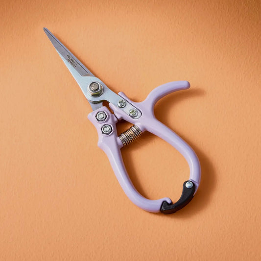 lavender houseplant shears