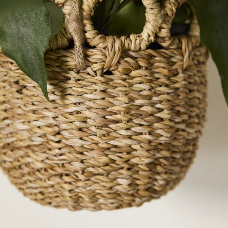 8" verse hanging basket