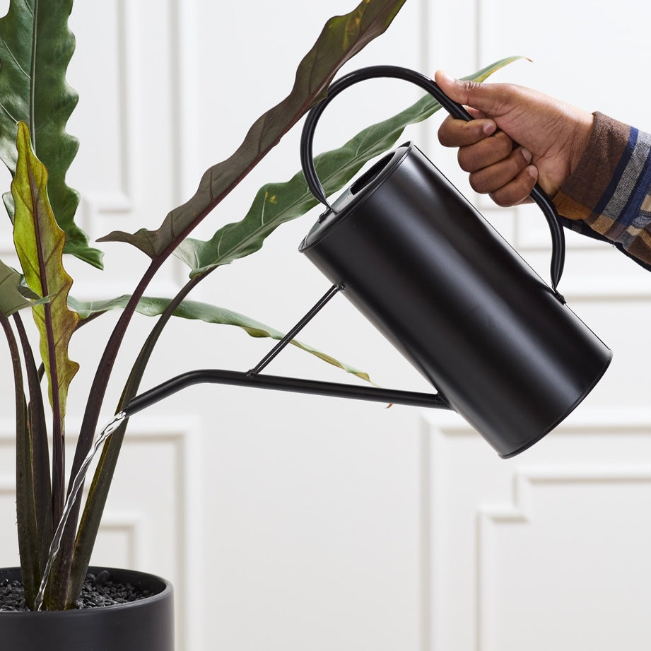 fletch watering can
