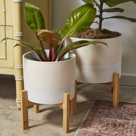 calvia planter