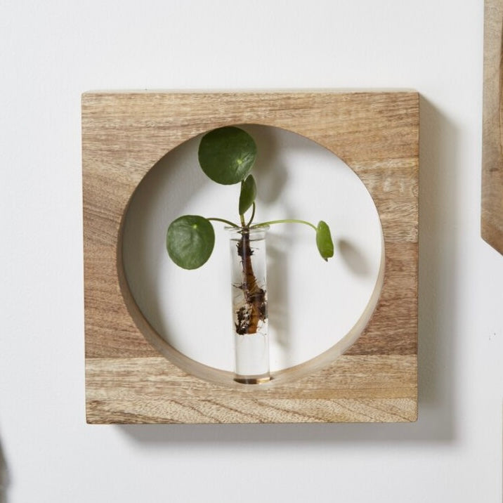 bixby propogation circle