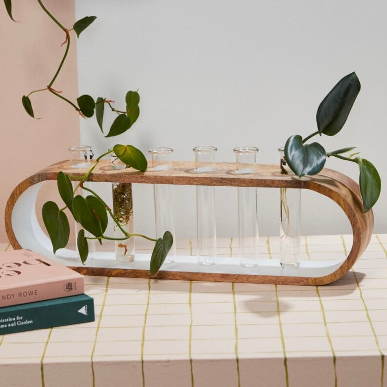 kennedy propogation station