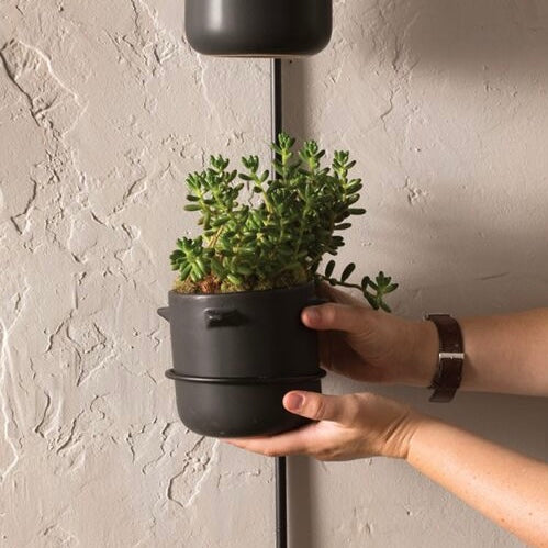 cera hanging planter