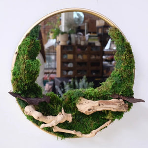 TROY SHOP MAY 30th preserved moss mirror