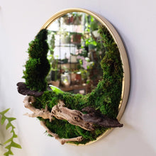 Load image into Gallery viewer, TROY SHOP MAY 30th preserved moss mirror
