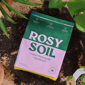 4qt rosy soil potting mix