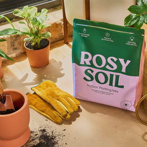 8qt rosy soil organic potting mix