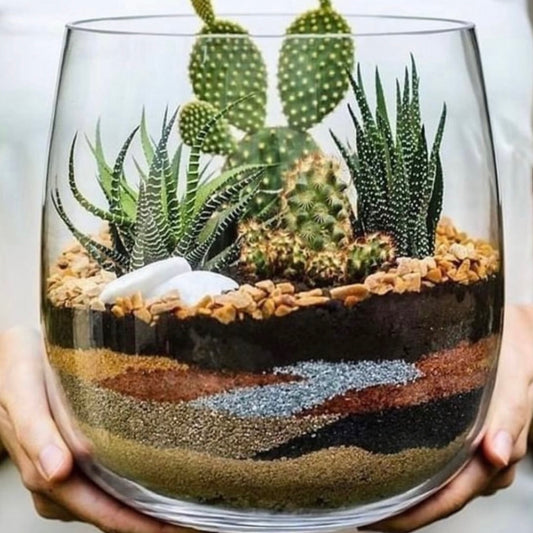 cacti garden workshop 11:00am on 1/17/26