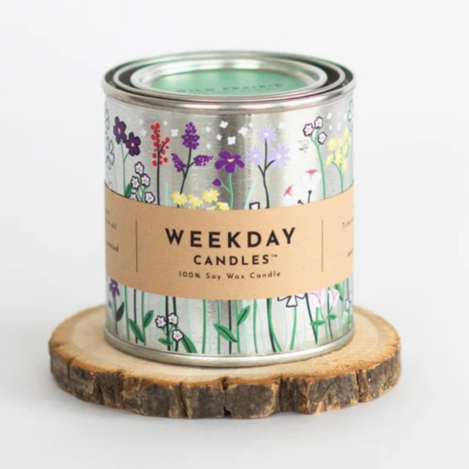 wild prarie paint tin candle