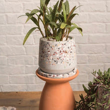 Load image into Gallery viewer, 5.5&quot; heather pot

