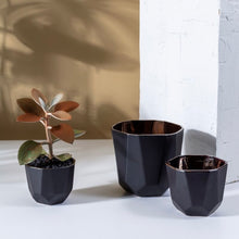 Load image into Gallery viewer, 7&quot; benito pot
