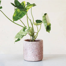 Load image into Gallery viewer, 4-3/4&quot; pink terra-cotta planter
